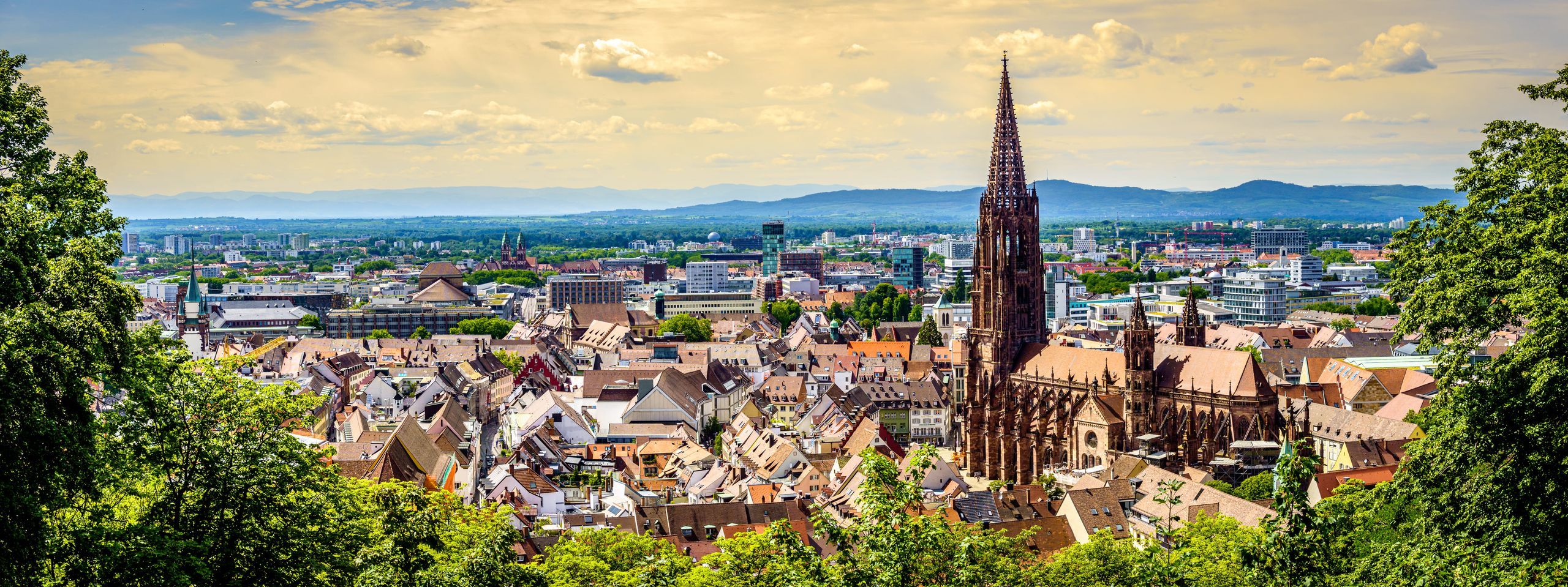 Bild der Stadt Freiburg im Breisgau