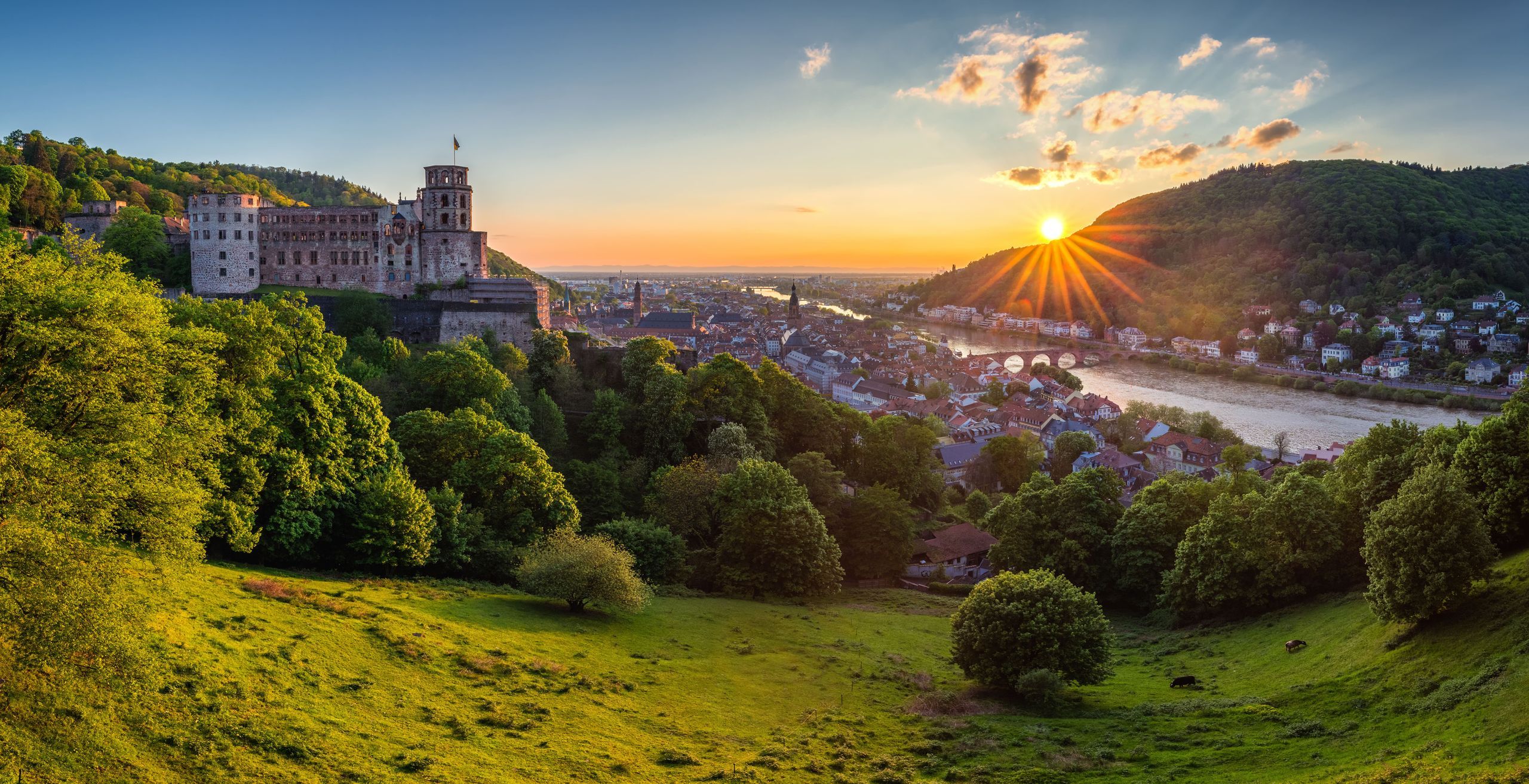 Bild der Stadt Heidelberg